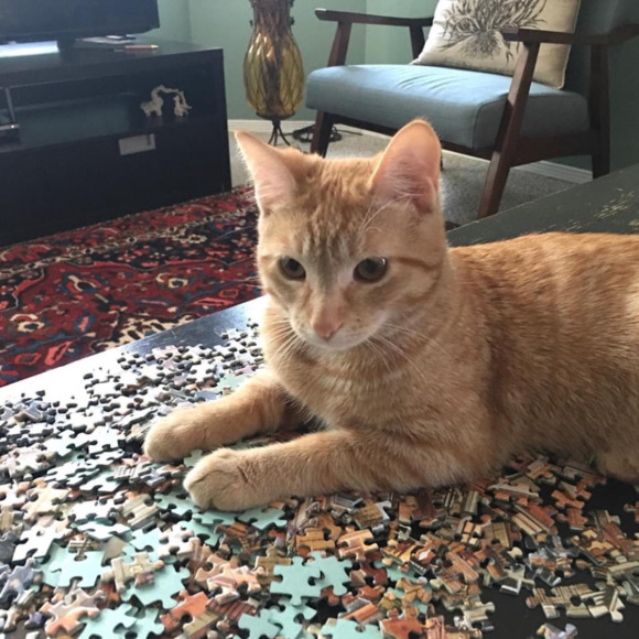 Meet your Posher, Charo - Picture 1 of 1